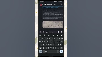 How to fix the image loading in mimu bot embed 𐙚ᐟᐟ☆ #mimubot #lyratech
