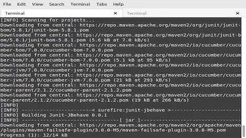 Testing {{ java maven failsafe allure cucumber junit5 }} sieve segment cli