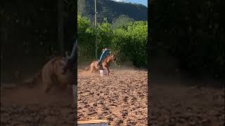 CAVALO DE 26 ANOS NO TREINO