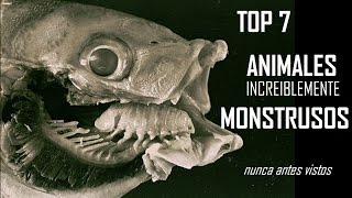 TOP 7 Animales Increiblemente Monstruosos NUNCA ANTES VISTOS