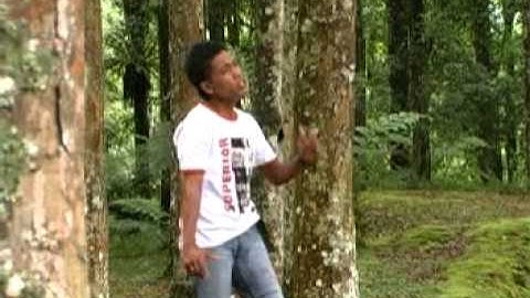 hana sibandeng