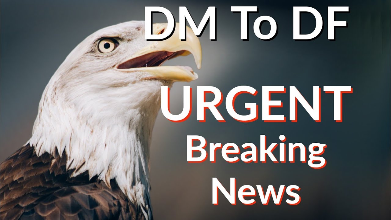 dm-to-df-urgent-breaking-news-youtube