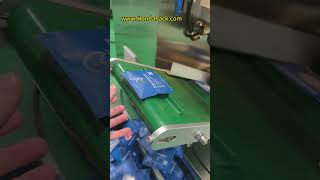 Nylon pyramid tea bag packing machine