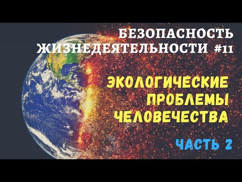 БЖД #11 / обзор глобальных экологических проблем человечества / доцент Ахтямов