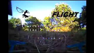 Lizard95 vs trees