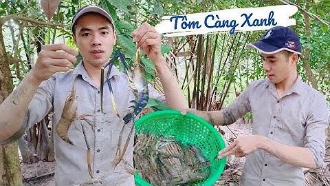 🦞Tác Mương Trúng Ổ TÔM CÀNG XANH | Cậu Út Miền Tây #50