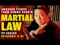 Awesome fights from Martial Law (Episodes 1-5)