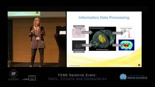 Gilbert Terri - Tutorial 1 - Cell Types Database Net Worth