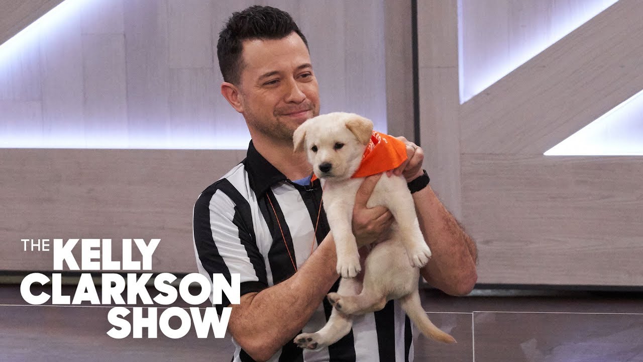 The Puppy Bowl Takes Over 'The Kelly Clarkson Show'