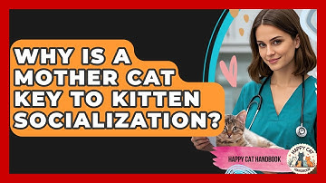 Why Is A Mother Cat Key To Kitten Socialization? - Happy Cat Handbook