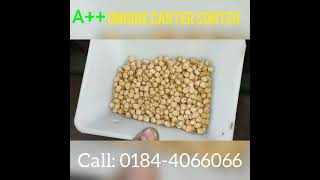 CHICKPEA (WHITE CHANA) | Color sorter machine gram | Call at 09896327066 Unique carter
