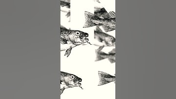 Pov : You are Bengoli Developer 😂😂  #shorts #coding #programmer #tech #funny