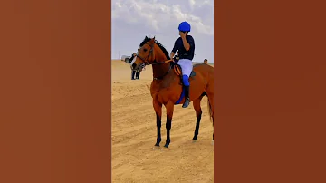زعامة ما هاب الموت 