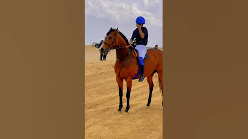 زعامة ما هاب الموت 