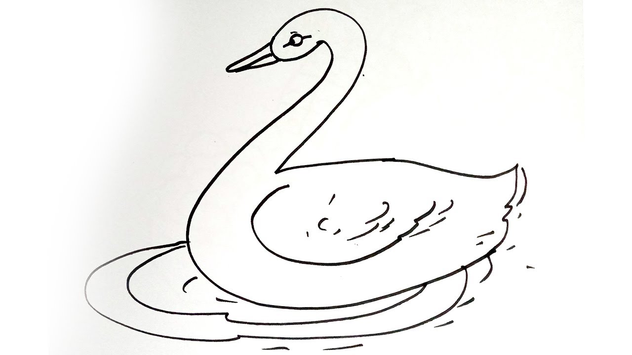 Mute swan (ca. 1720–1792) drawing in high resolution by Ae… | Flickr