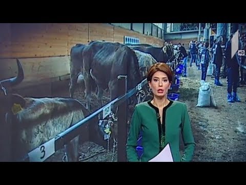 მესაქონლეობის ექსპო 2019