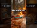 Black Screen Rain Sounds with Cat | 11 Hour Sleep Ambience No Ads #DeepSleep #RainSounds #SleepAid