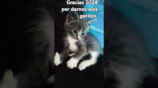 2 De Enero De 2025