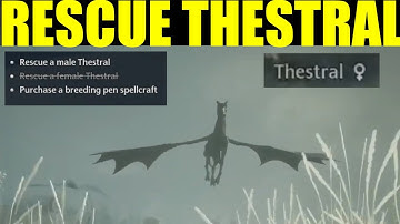 How to "Rescue a Thestral" Hogwarts Legacy (foul of the dead Quest Guide)