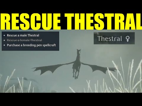 How to 'Rescue