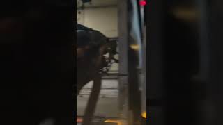 Mitsubishi 6d24 engine pull out