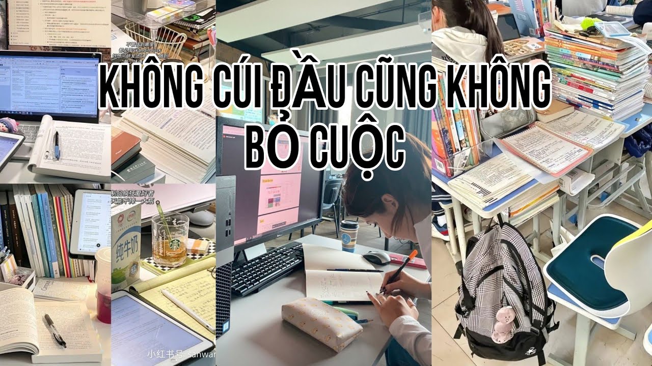 |THPTQG 2024||Cao Khảo|💙Xin lỗi, Nhưng lần này người chiến thắng phải là tôi!//Động lực học tập.