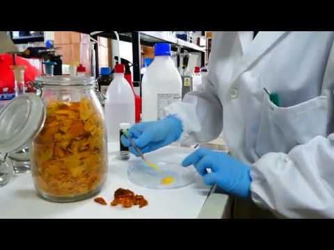 T-Shirt Generates Electricity from Body Temperature