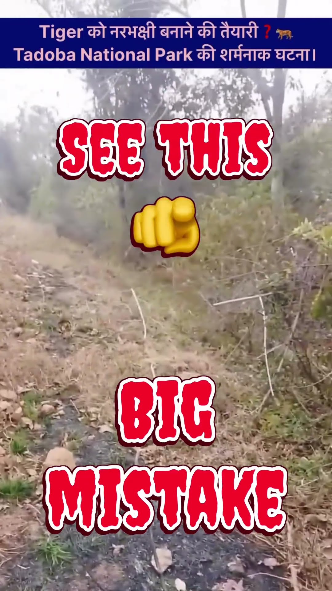 3 Seconds Away From a Tiger Attack… People Still Got Closer 😳 #tigerwarrior #goodtiger #tigernews