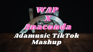 Cardi B - WAP X Anaconda [TikTok Mashup] | Adamusic Resimi