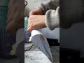 ان كنت طالب هندسة معمارية فأعلم ماذا ينتظرك Architecture Foryou Shorts Shortvideo Explore 