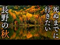 【まるで絵画】秋に行きたい長野の紅葉絶景 33選 - JAPAN in 4K