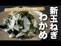 【新玉ねぎ】和えるだけのシンプルなレシピ 旬の新玉ねぎが柔らかくて甘くておいしい 新玉ねぎとわかめの旨和えナムル【今日のあと一品】【副菜レシピ】