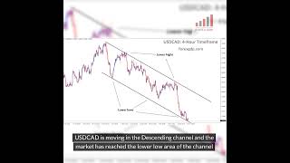 Forex Analysis Dec'20