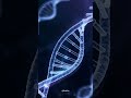 THIS IS YOU! Watch The DNA Code of Life (3D Helix) #3danimation #humanbody #biology