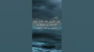 سورة البقرة اية 28 - مع صوت البحر بصوت جميل - كَيْفَ تَكْفُرُونَ بِاللَّهِ وَكُنتُمْ