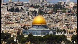 فلسطين عربية🇵🇸شهدانا قوافل