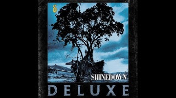 Shinedown - Simple Man (Rock Version) [Audio]