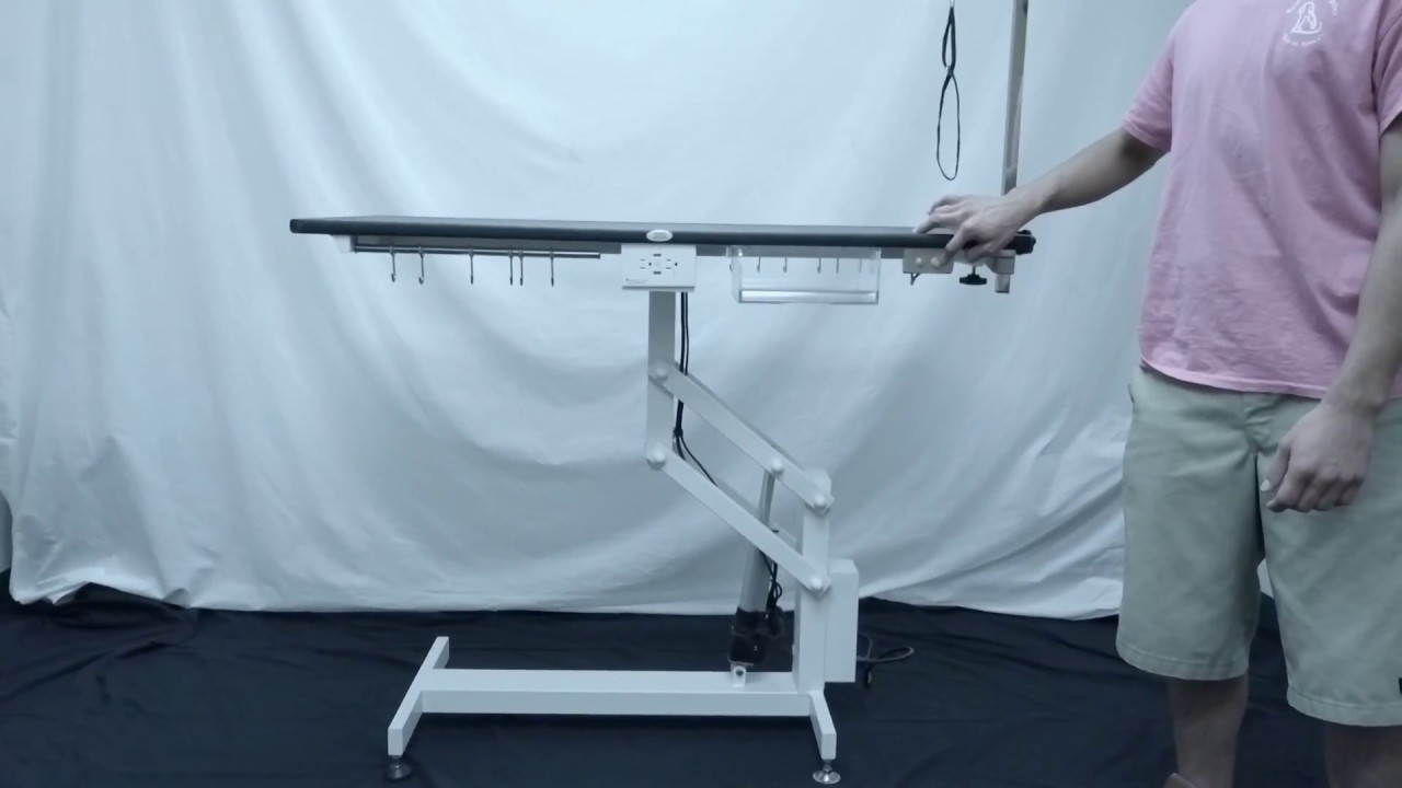 Value Groom Professional HeavyDuty Electric Grooming Table YouTube