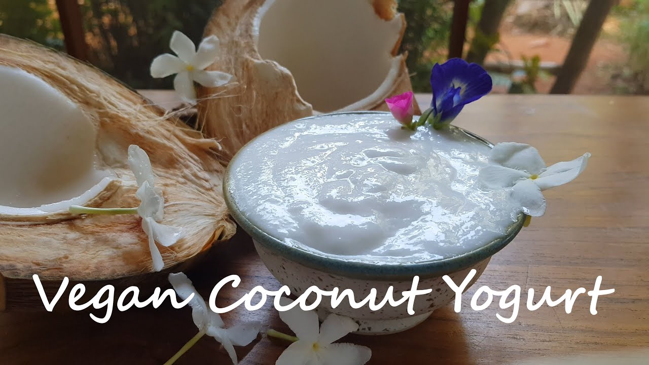Vegan Coconut Yogurt Recipe YouTube