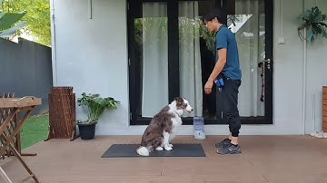 Ian Wu W27 Unit 2 Lesson 6.1 Add/Wait for Cue: Back, Left Turn, Speak