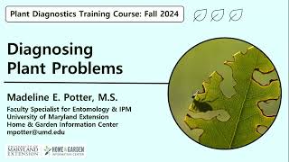 Plant Diagnostics Training Course Part 1 - Diagnosing Plant Problems