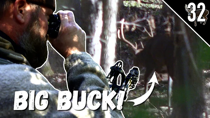 INDIANA PUBLIC LAND CHALLENGE! - Day 5: Big Buck in Bow Range! | Deer Hunting the Rut