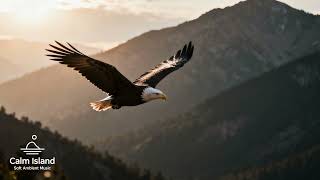 Calm Island - Bald Eagle Over the Mountain Valley-3 H Deep Focus Ambience screenshot 5