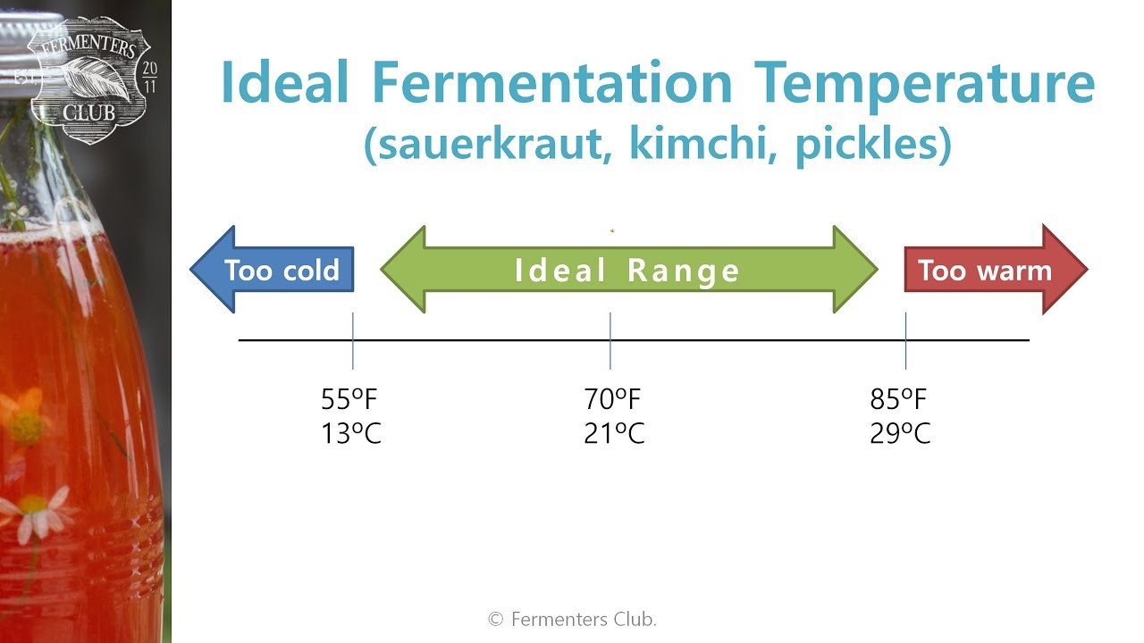 Fermentation Temperature Chart