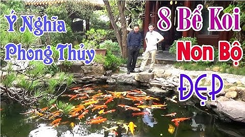 8 Bể Koi Non Bộ Đẹp Trong Biệt Thự Nhà Vườn Và Ý Nghĩa Phong Thủy