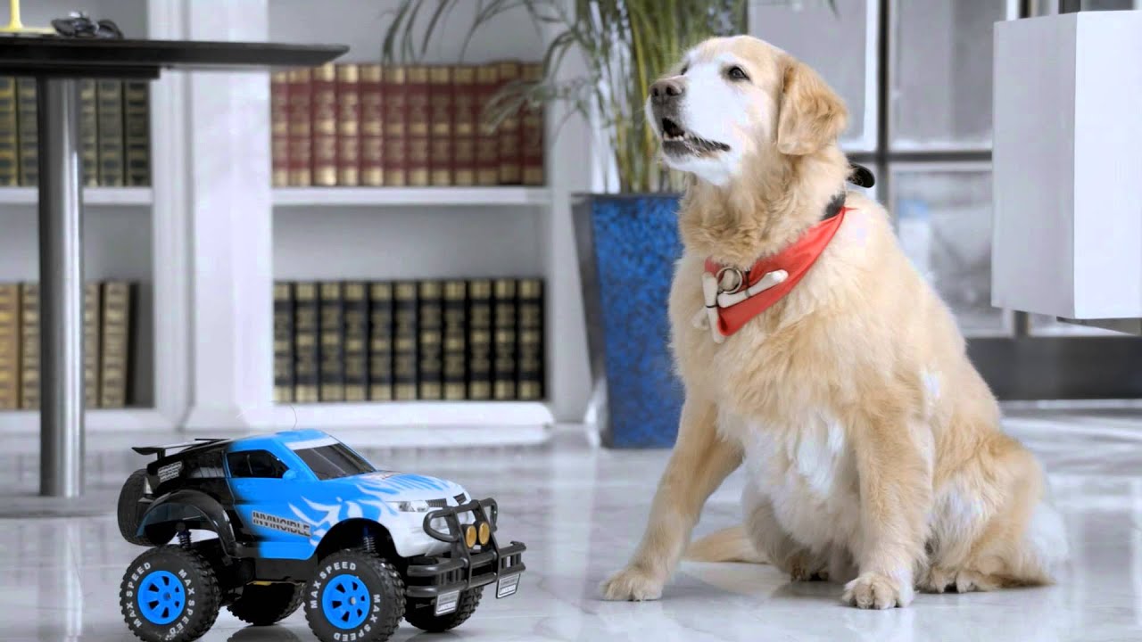 Хавал h dog
