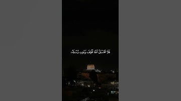 ما تيسر من سورة إبراهيم/ القارئ أحمد النفيس 🌹⚘🌿