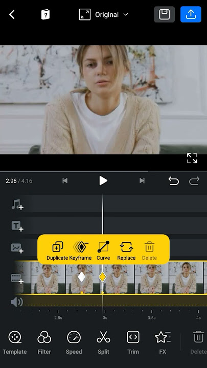 Crash ZOOM in VN tutorial