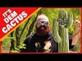 Swedish fact guy  dem cactus  005  snortenga comedy short