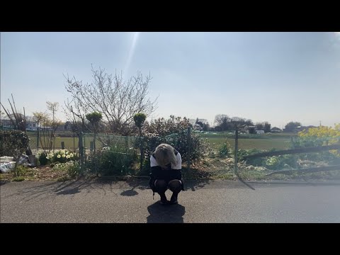 【君のために】Calc. 踊ってみた